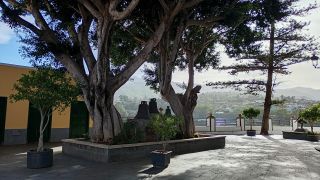 GC-Mirador de Santa Brigida 2026-13.jpg